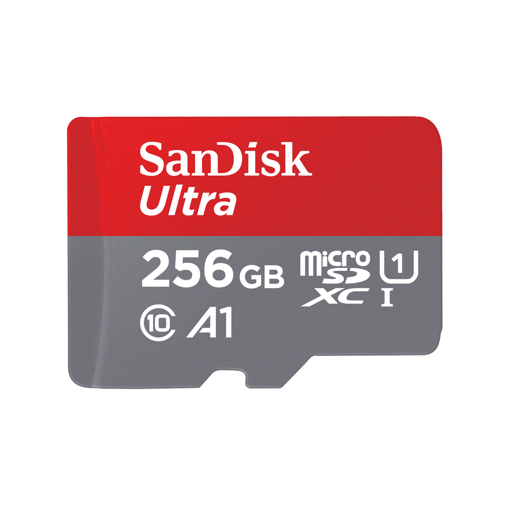 Sd Card 256 Price